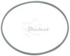 COURROIE CARREE Diam: 43.3 x 1 MM