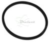 COURROIE CARREE Diam: 37 X 1.9 X 1.9 MM