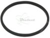 COURROIE CARREE Diam: 30.5 x 1.5MM